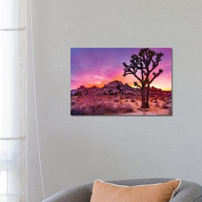 Joshua Tree National Park IX par Susanne Kremer - Photographie sur toile tendue