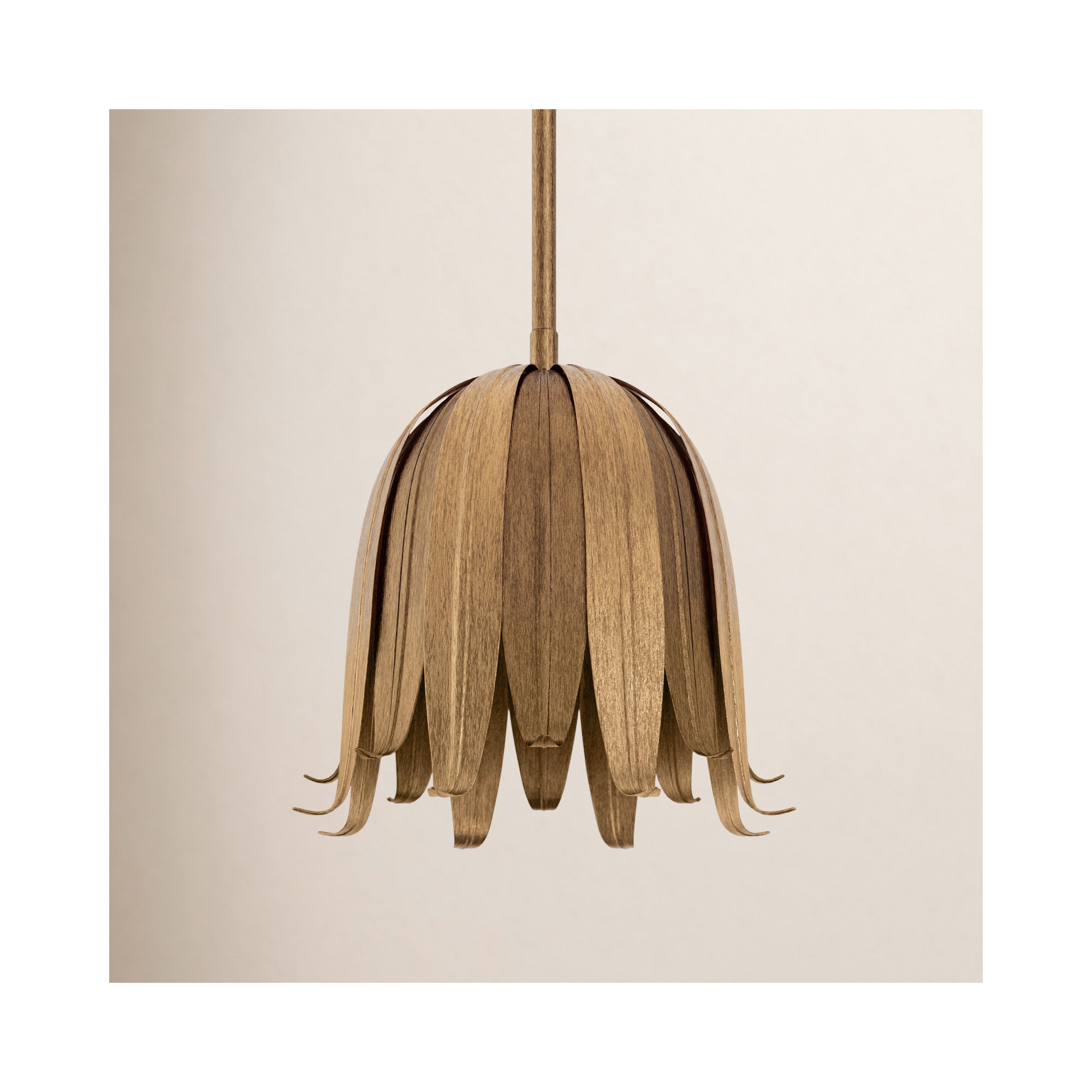 Rounak 1 - Light Single Pendant, Antique Bronze