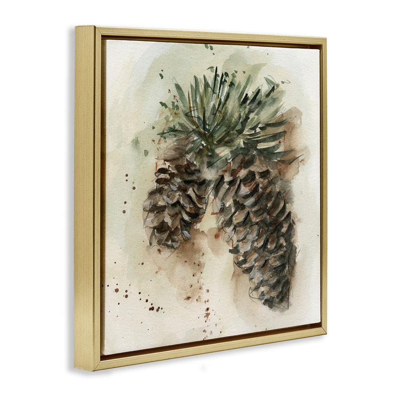 «Pine Cone Watercolor» par Ethan Harper, H 25 po x l 25 po, Cadre flottant gris lustré