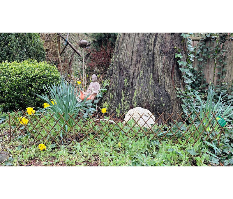 Bordure extensible brun saule
