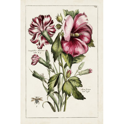 Pink Hibiscus - Print on Canvas