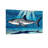 Animal Shark Swimming Underwater With Sunlight Rays-1534044586-1534044565-1534044566