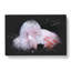 Pink Flamingo Vol.1 - Wrapped Canvas-61877283