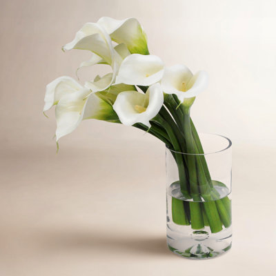 Calla Lily In Cylinder Vase