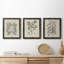 Antique Black and White Botanical VII - Ensemble de 3 reproductions d'art sur toile-282180056-282180060