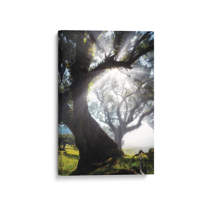 Reproduction d'art "Bend Rays" par Martin Podt, Unframed Canvas, 32 W x 48 H, Does Not Apply