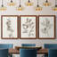 Neutral Botanical Study I - Ensemble de 3 reproductions d'art sur toile-1870357607-1870357600