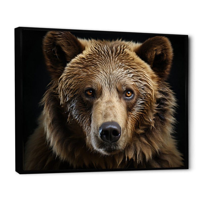 «Bear Portrait - Bear», reproduction d'art sur toile encadrée, H 16 po x l 32 po, Noir, Reproduction avec cadre flottant
