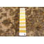 Tapis doré foncé à transition de couleur 6 pi 2 po x 9 pi 5 po