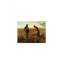 Art mural sur toile 24 "x 18" Serene Dusk