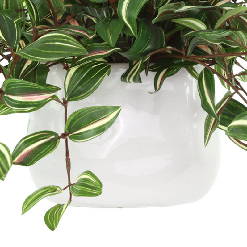 Tradescantia Zebrina Arranged In Ceramic Vase, Green, 14"H x 26"W x 17"D
