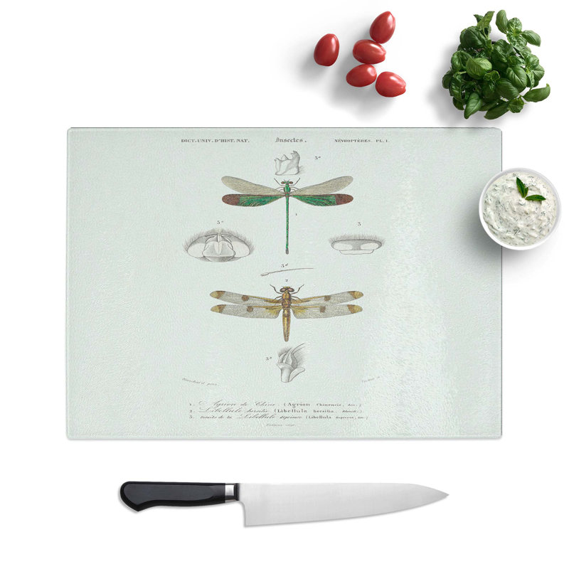 Glass Dragonfly Illustrations Pl. L by Charles D' Orbigny Chopping Board, 28.5 cm W x 20 cm L