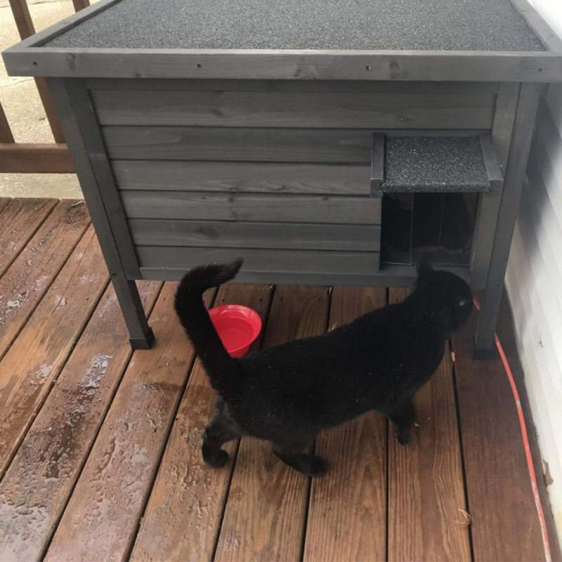 Insulated Outdoor Cat House Weatherproof Feral Cat Shelter Indoor Wooden Cat Condo