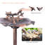Bain d'oiseaux Doni-1263994295