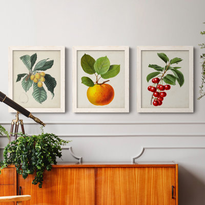 Feuillage antique et fruit VI - ensemble de 3 peintures sur toile encadrées