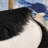 Faux Fur 16" Round Decorative Chair Pad-86741253-102878007