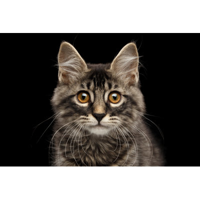 Bobtail Kitty - Wrapped Canvas Print