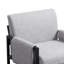 Doerr Set of 2 Upholstered Accent Chairs-94365273