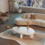 Table basse moderne 46 po x 29 po x 12 po - blanc ultrabrillant-219846471