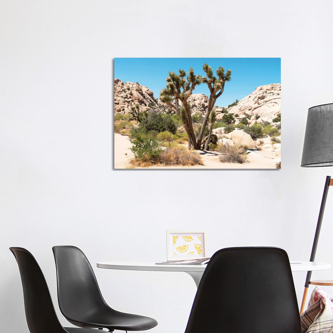 Amerikanischer Westen - Joshua Tree Wüste von Philippe Hugonnard - Galerieverpackte Leinwand Giclée auf Leinwand ohne Ra...