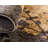 Arabica Abstract Indoor Rug-1509756848