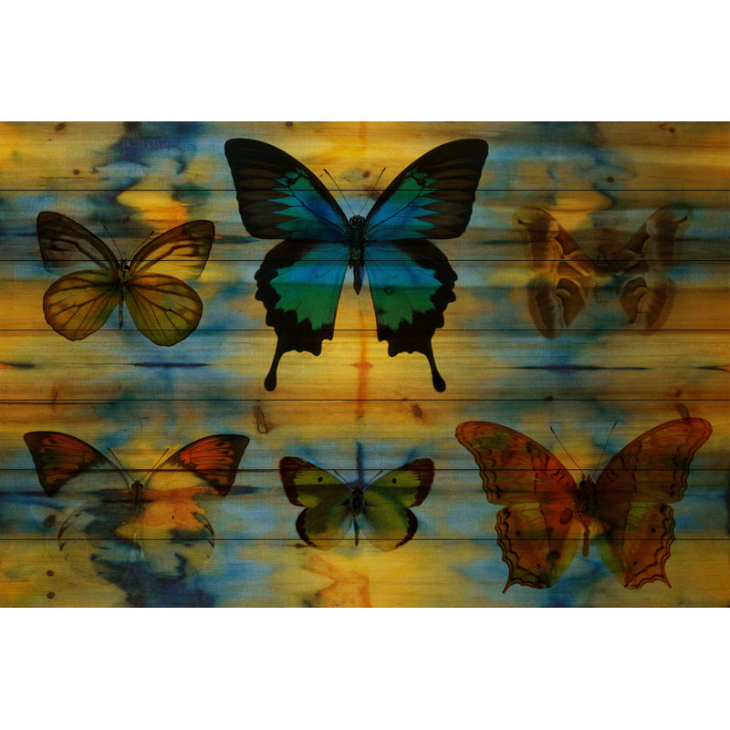 Reproduction d’art sur bois, "lepidoptera" par parvez taj, H 24 po x l 36 po x P 1,5 po