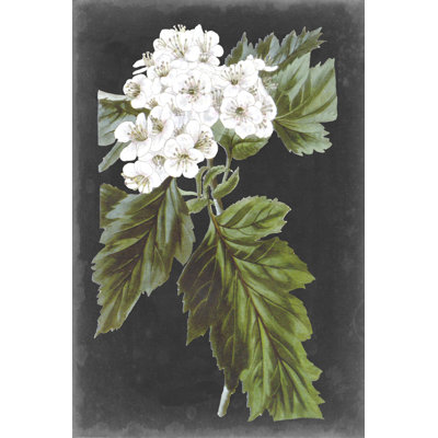 «Dramatic White Flowers IV» par Vision Studio - impression sur toile tendue