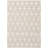 Riey Chenille Oriental Indoor Rug