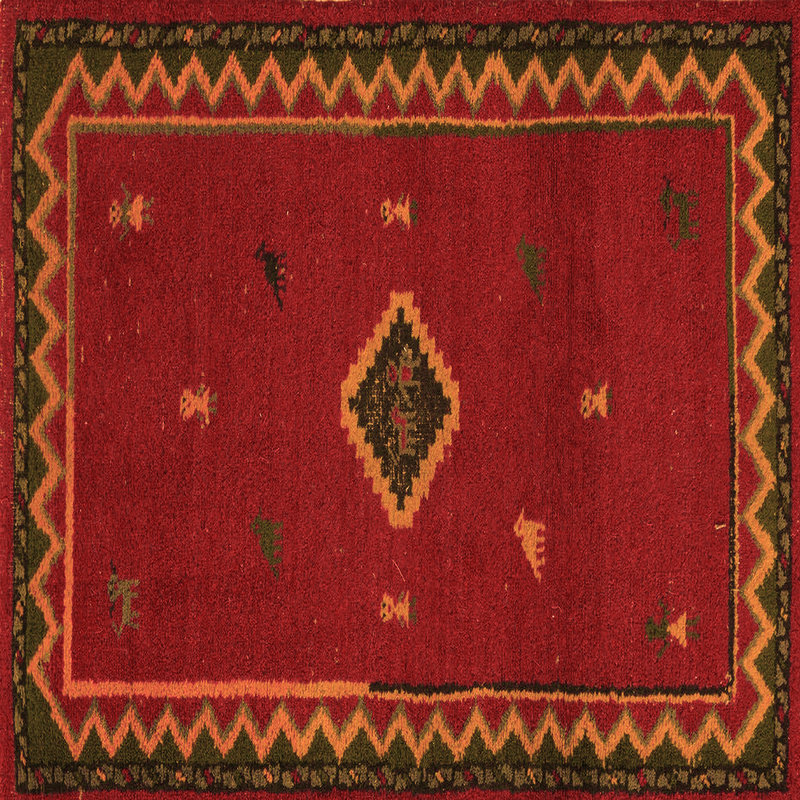 Tapis tissé à la machine en rouge / orange / vert Dericky Southwestern, Carré 8 pi