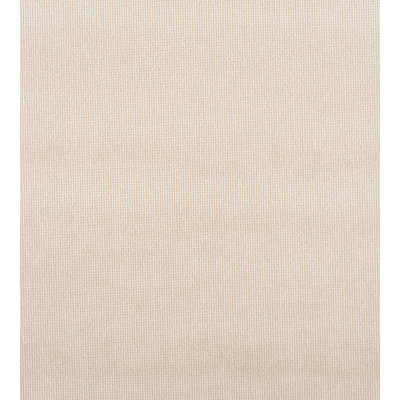 Essential Velvets Fabric