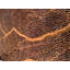 Abstract Area Rug