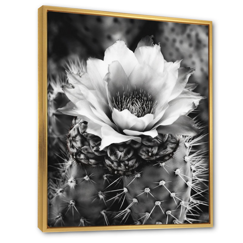 Naythen Gray Desert Cactus I sur toile, H 40 po x l 30 po x P 1,5 po, Cadre flottant doré