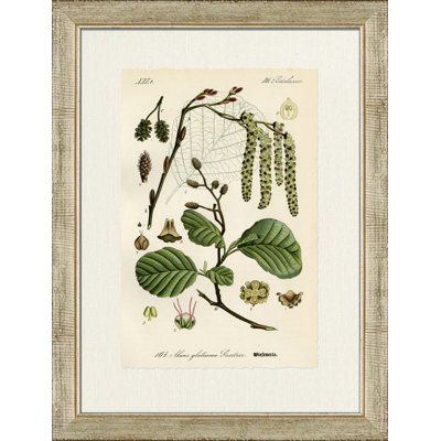 Wiefenerle Print