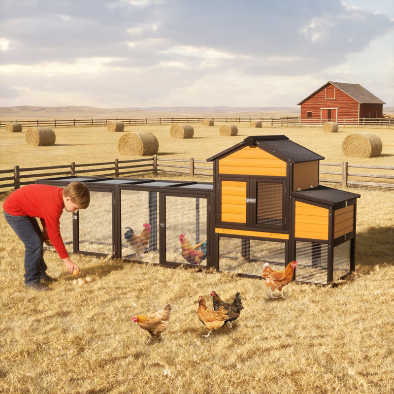 Poulailler pour 2 à 4 poulets