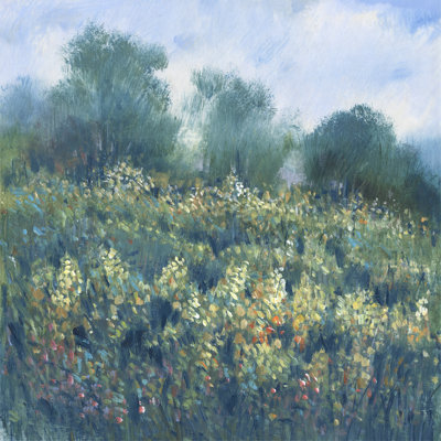 " Meadow Wildflowers I " by Timothy O' Toole Painting Print