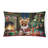 Other/No Pattern Outdoor Throw Pillow
