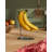 Dear Charlie Banana Holder
