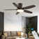 Laurenzia 122cm Ceiling Fan with LED Lights