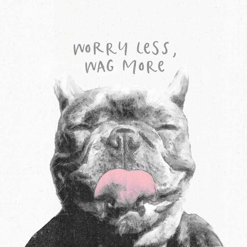 Worry Less Wag More - Wrapped Canvas Print, 30cm H x 30cm W x 3.8cm D