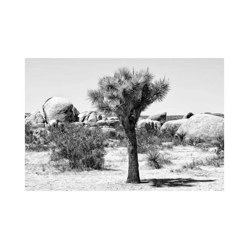 Joshua Tree III by Philippe Hugonnard - Wrapped Canvas Print, 66.04 cm H x 45.72 cm W x 1.91 cm D