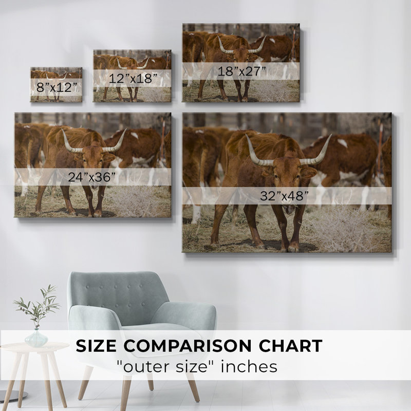 Longhorns-Toile tendue avec châssis, H 12 po x l 18 po