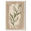 Feuilles illustrées II - peinture sur toile-61810441-72506327