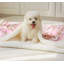 Petite courtepointe pour animal de compagnie-99191148