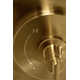 Castia by Studio McGee Rite-Temp Valve Trim