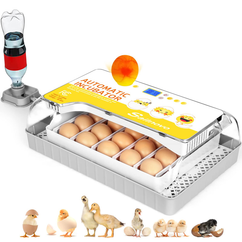 Damire Chicken Egg Incubator For Up To