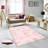 Elegant 3D Printed Area Rug, 4.6 x 7.2 ft | 100% Polyester, 0.31 in Pile Height, Antibacterial | Non-Slip PVC Felt Dot Underside, Machine Washable, Perfect for Living Room or Bedroom, Durable & Stylish Design-1480881655