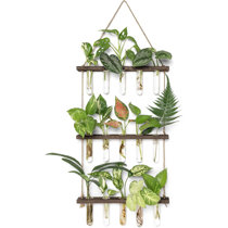 ALISHA HANDICRAAFTS Test Tube Planter with Wooden Base