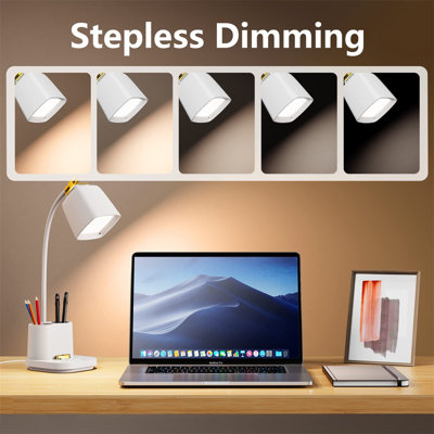 Asilee Desk Lamp