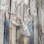 Christmas Figurines & Collectibles-364553582-364553569