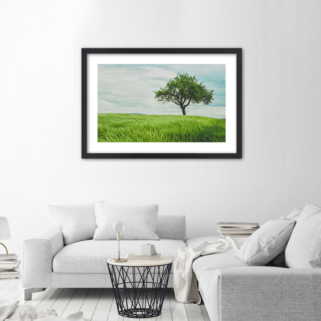 Gerahmter Fotodruck Tree in a Field